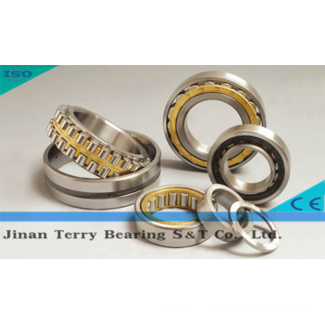 The High Quality Roller Bearings (NN3007)